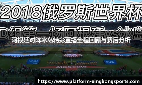 阿根廷对阵冰岛精彩直播全程回顾与赛后分析